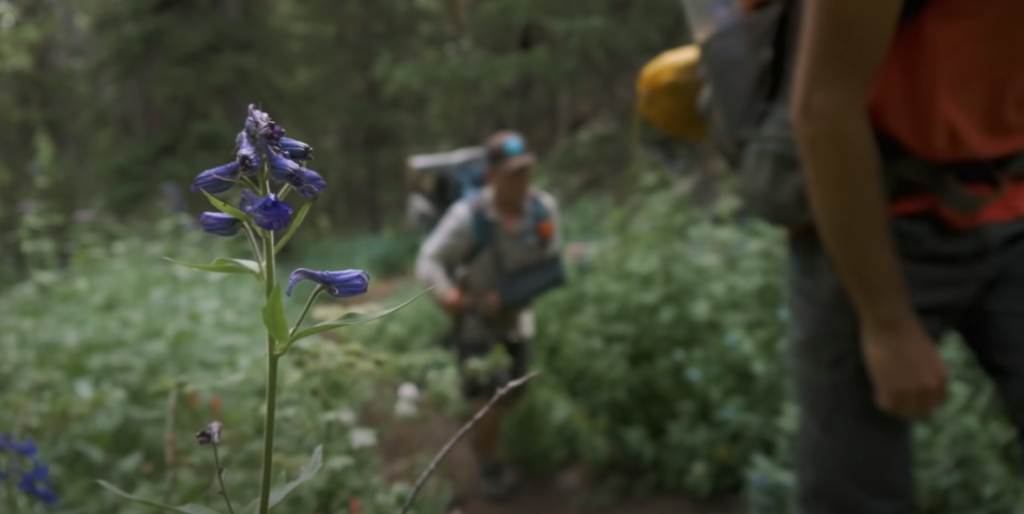 How Does Hiking Work As a Lower Body Workout