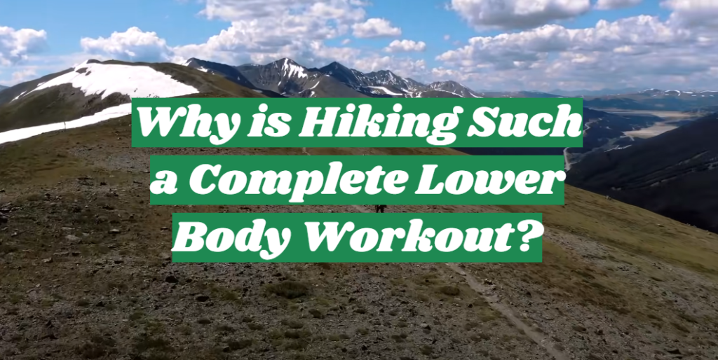 Why is Hiking Such a Complete Lower Body Workout? OutdoorProfy