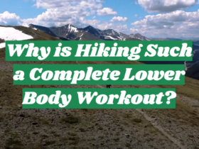 Why is Hiking Such a Complete Lower Body Workout