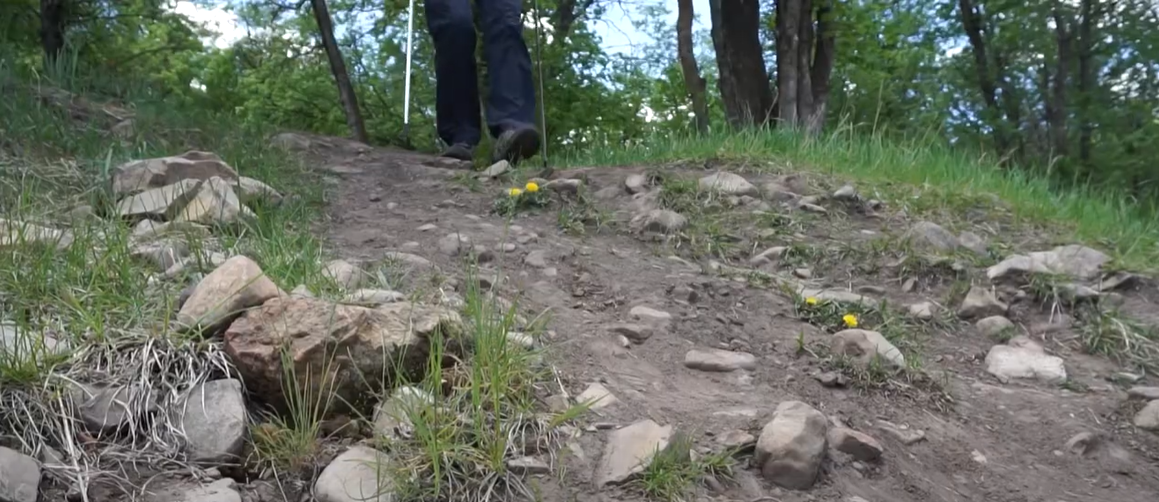 Can You Bring Trekking Poles on a Plane? OutdoorProfy