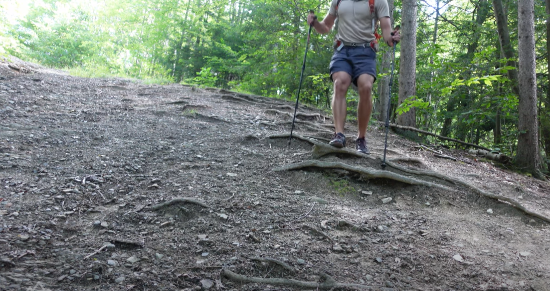 Can You Bring Trekking Poles on a Plane? OutdoorProfy