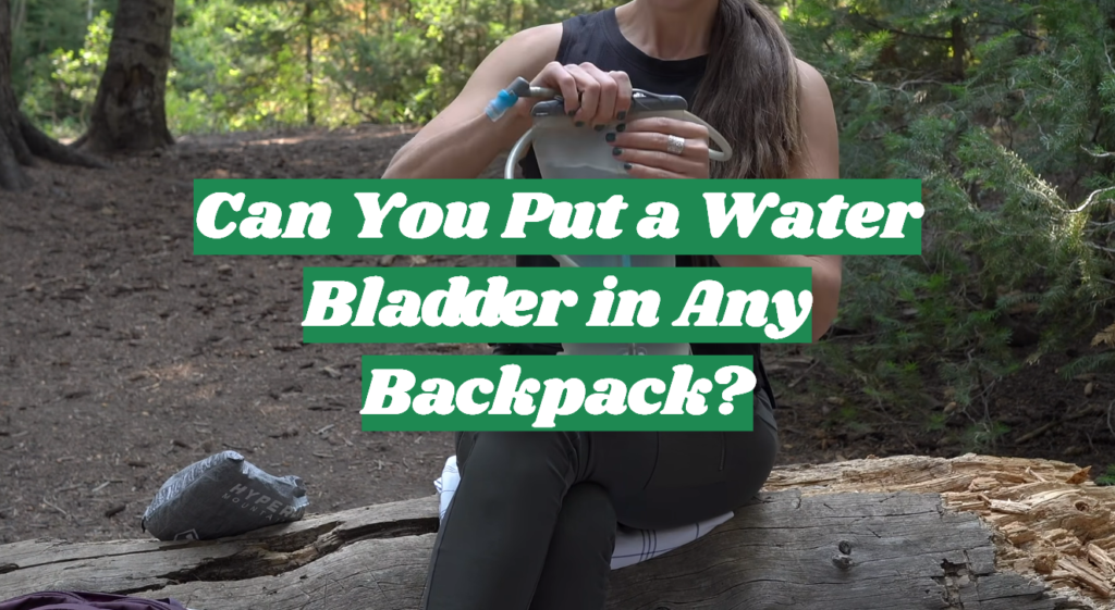 Can You Put a Water Bladder in Any Backpack? OutdoorProfy