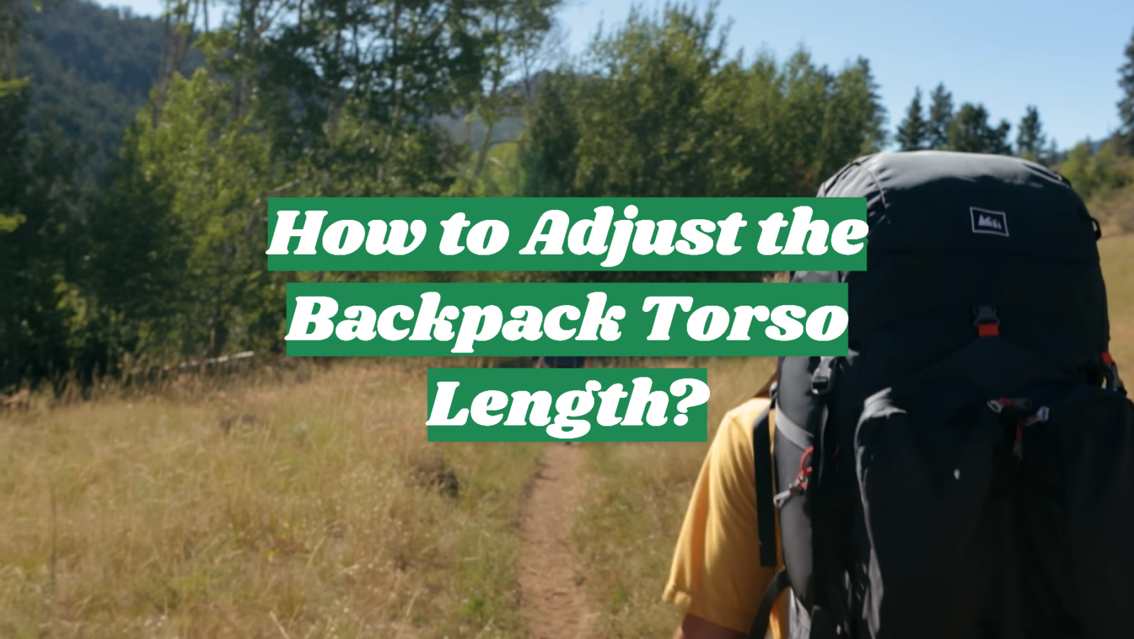 How to Adjust the Backpack Torso Length?