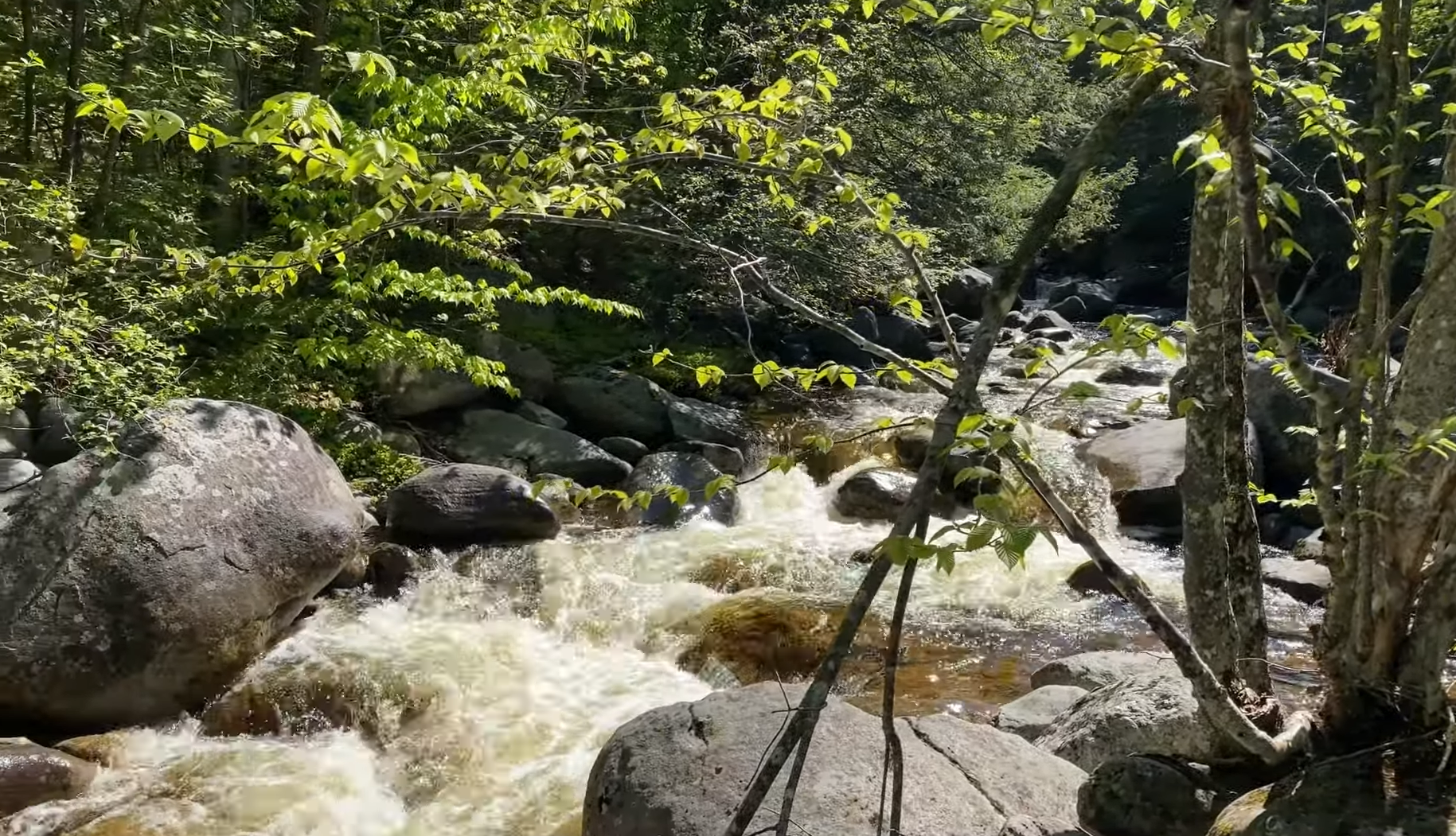 Stunning Maine Waterfall Hikes to Add to Your Bucket List