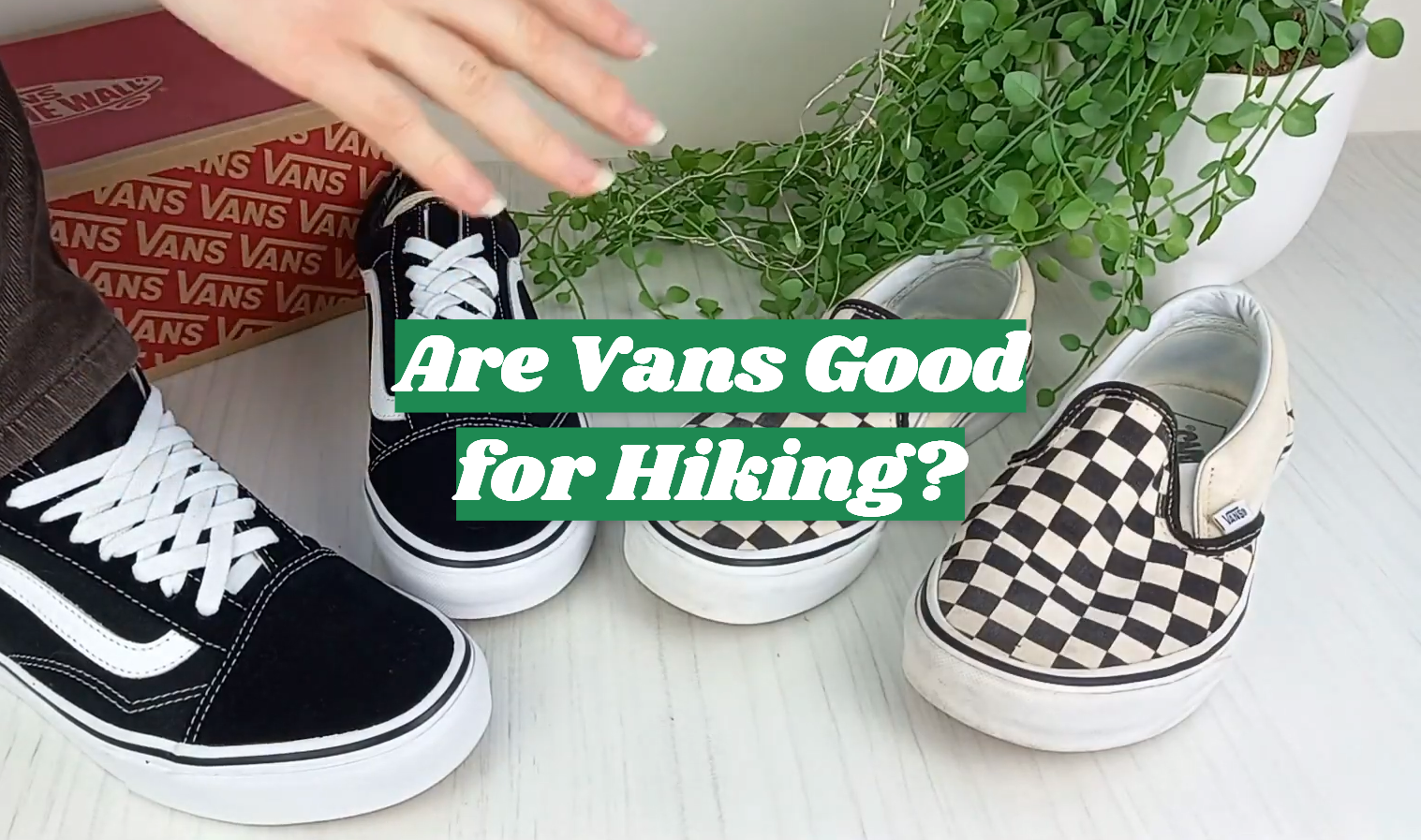 Are Vans Good for Hiking?