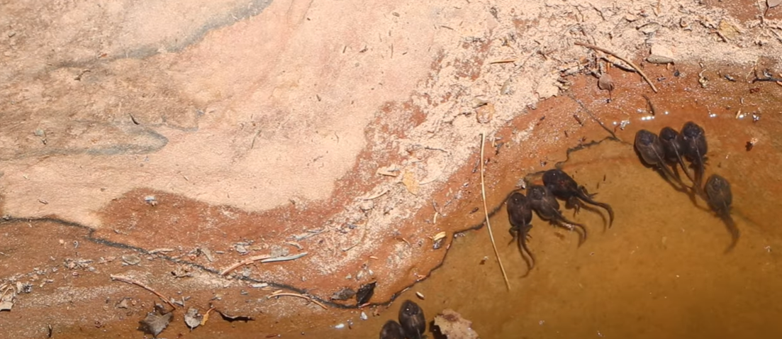 Major Airports Near Zion National Park outdoorprofy.com