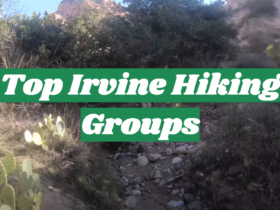 Top Irvine Hiking Groups