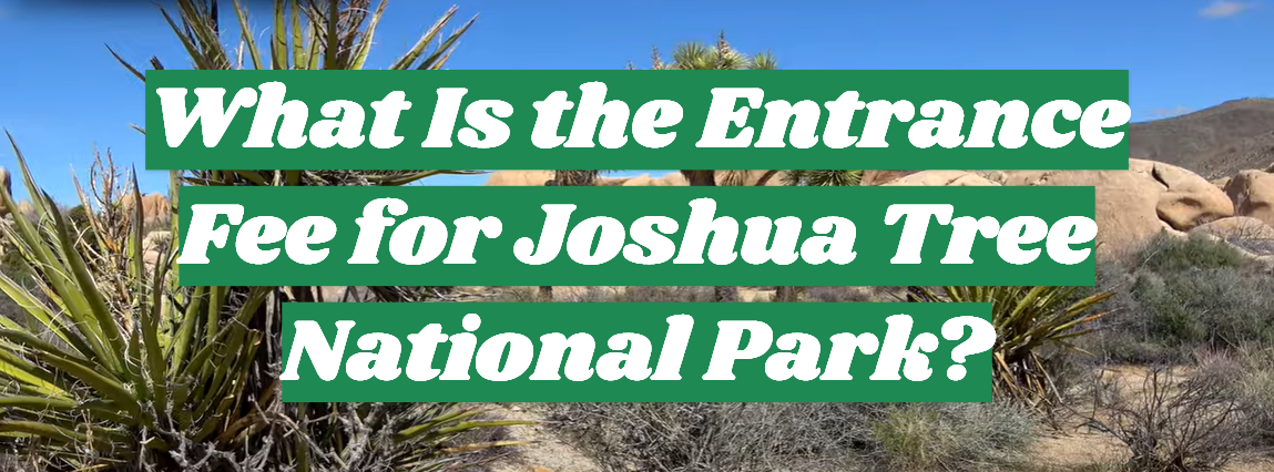 What Is the Entrance Fee for Joshua Tree National Park?