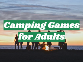 Camping Games for Adults